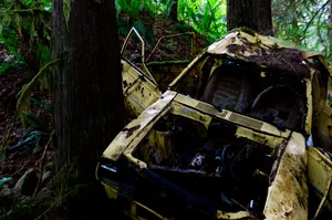 an abandoned car
